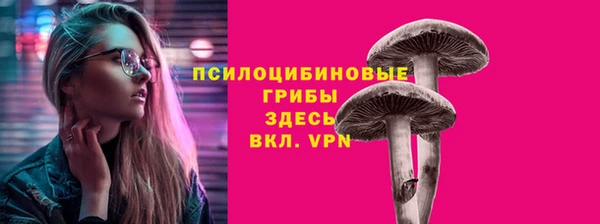 тгк Каменск-Шахтинский