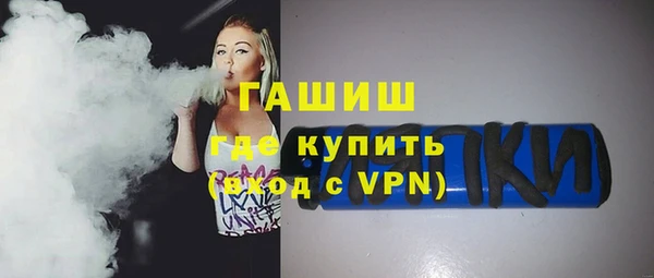 шишки Каменка