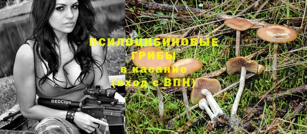 ГАЛЛЮЦИНОГЕННЫЕ ГРИБЫ Инта