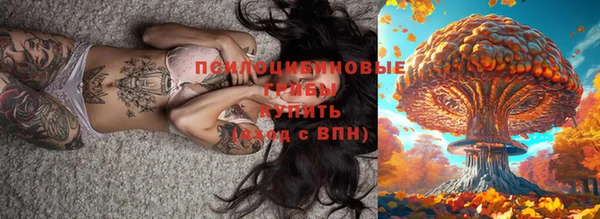 ГАЛЛЮЦИНОГЕННЫЕ ГРИБЫ Инта