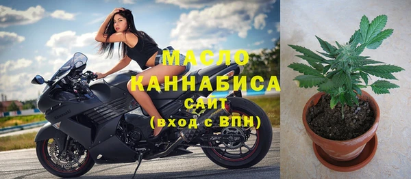 шишки Каменка