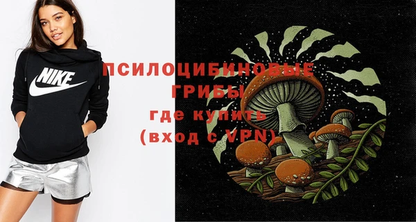 винт Инсар