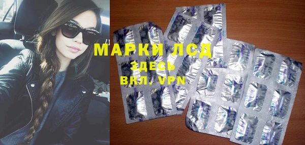 шишки Каменка