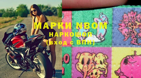 шишки Каменка