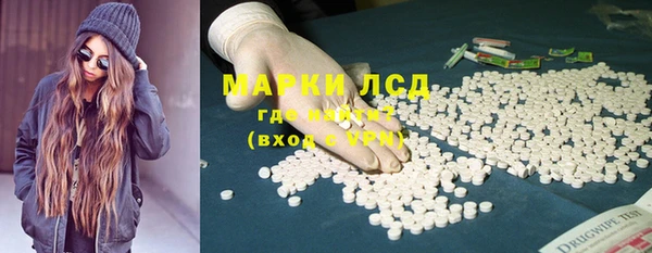 шишки Каменка