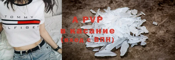 шишки Каменка