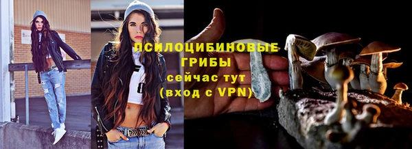 шишки Каменка