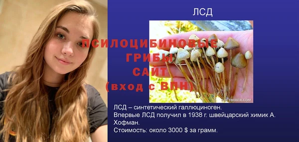 тгк Каменск-Шахтинский
