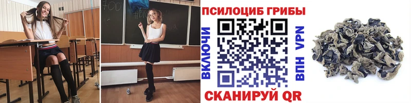 Купить  Борисоглебск  Галлюциногенные грибы Psilocybine cubensis 